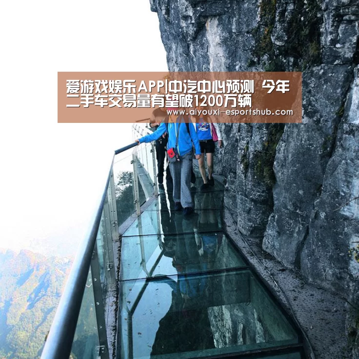 爱游戏娱乐APP|中汽中心预测 今年二手车交易量有望破1200万辆(图4) 爱游戏综合娱乐平台