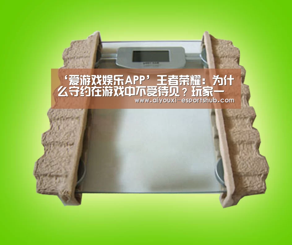 ‘爱游戏娱乐APP’王者荣耀:为什么守约在游戏中不受待见?玩家一句话道出真相(图2) 爱游戏综合娱乐平台
