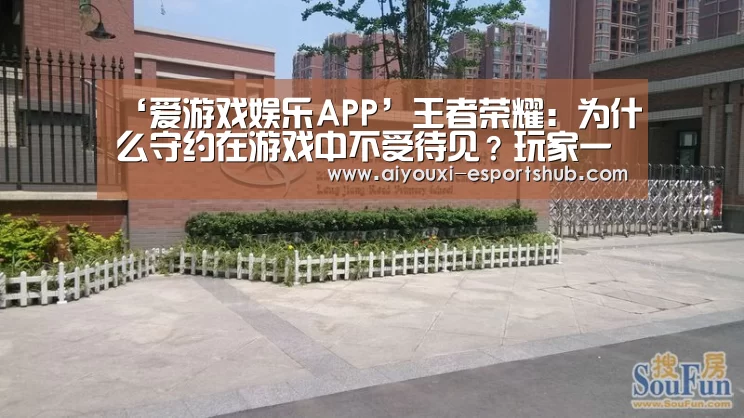 ‘爱游戏娱乐APP’王者荣耀:为什么守约在游戏中不受待见?玩家一句话道出真相(图4) 爱游戏娱乐APP