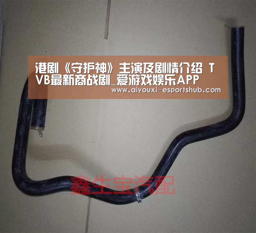 港剧《守护神》主演及剧情介绍 TVB最新商战剧_爱游戏娱乐APP(图2) 爱游戏娱乐APP