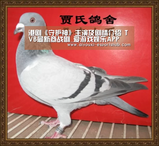 港剧《守护神》主演及剧情介绍 TVB最新商战剧_爱游戏娱乐APP(图1) 爱游戏在线娱乐