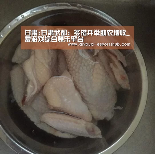 甘肃:甘肃武都:多措并举助农增收_爱游戏综合娱乐平台(图1) 爱游戏真人娱乐中心