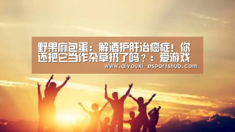 野果麻包蛋:解酒护肝治癌症!你还把它当作杂草扔了吗?:爱游戏娱乐APP(图1) 爱游戏娱乐APP