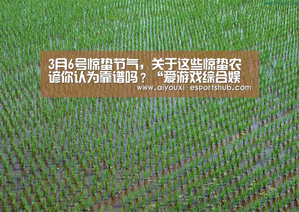爱游戏娱乐APP