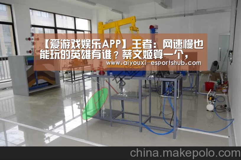 【爱游戏娱乐APP】王者:网速慢也能玩的英雄有谁?蔡文姬算一个,图四460也不怕!(图2) 爱游戏真人娱乐中心